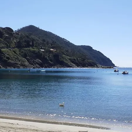 Flat With Sea View And Garden 아파트 파라무라