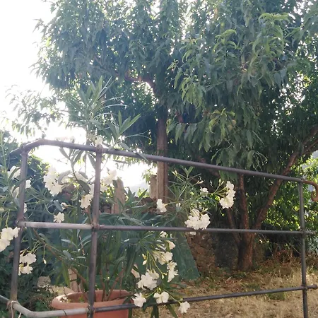 Apartment Flat With Sea View And Garden