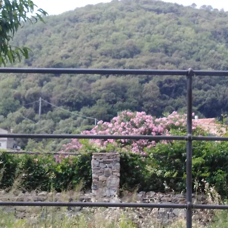 Flat With Sea View And Garden